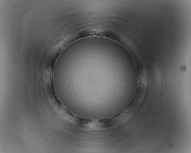 X0000110970468200906191339