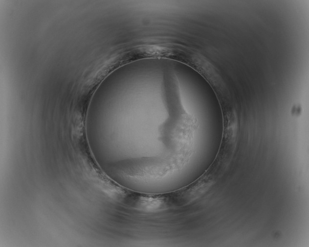 X0000110970469200906191340