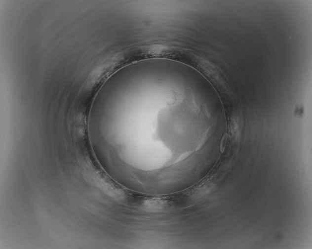 X0000110970470200906191340