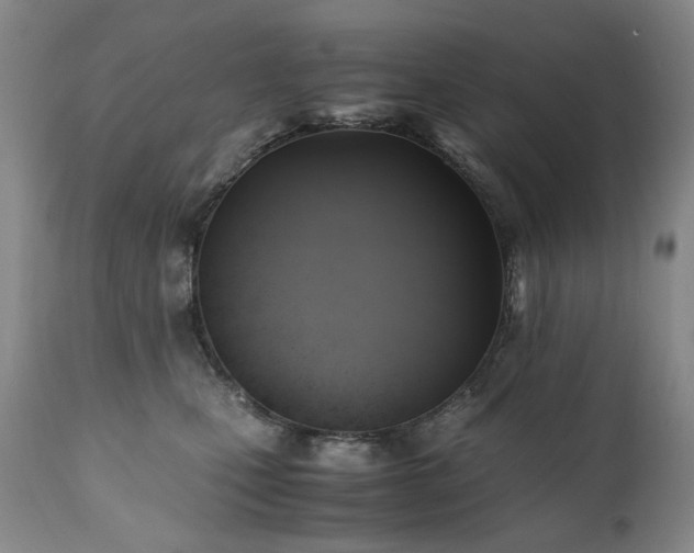 X0000110970471200906191340