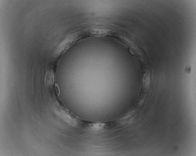 X0000110970474200906191340