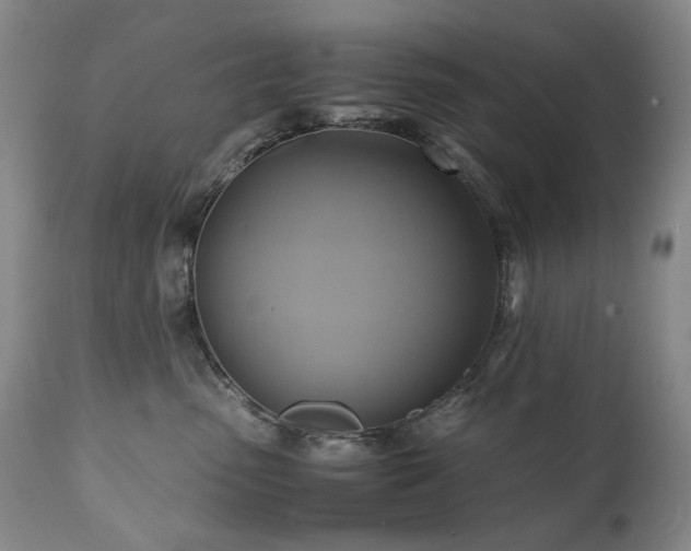 X0000110970475200906191340