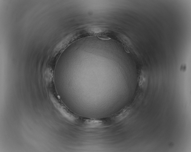 X0000110970476200906191340