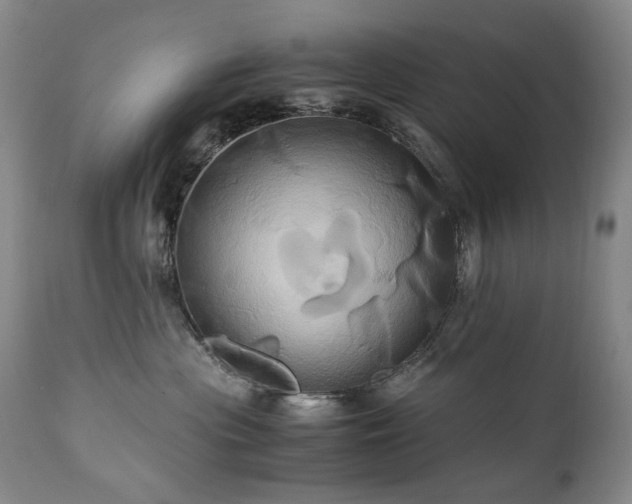 X0000110970477200906191340