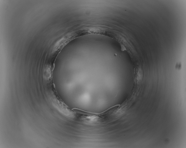 X0000110970478200906191340