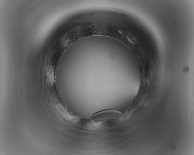 X0000110970479200906191340