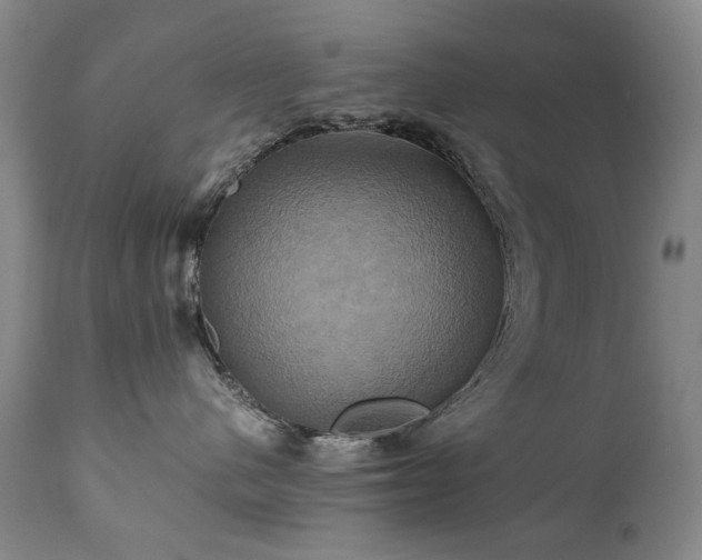 X0000110970480200906191340