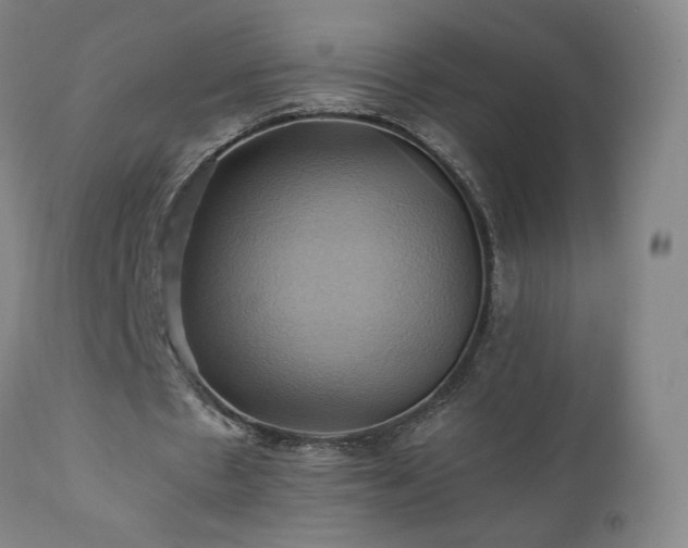 X0000110970481200906191339