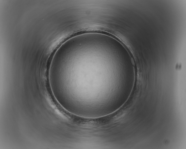 X0000110970485200906191339