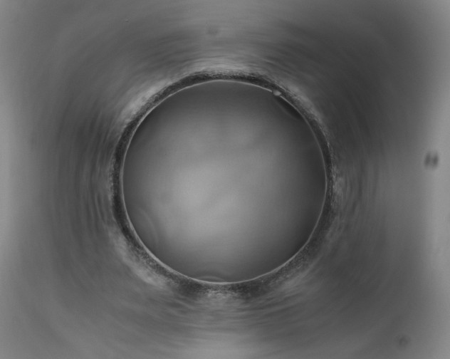 X0000110970487200906191339