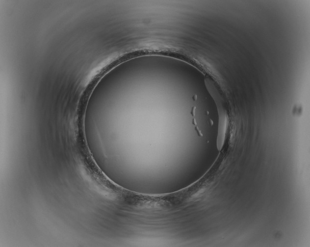 X0000110970488200906191339