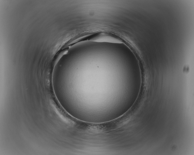 X0000110970489200906191339