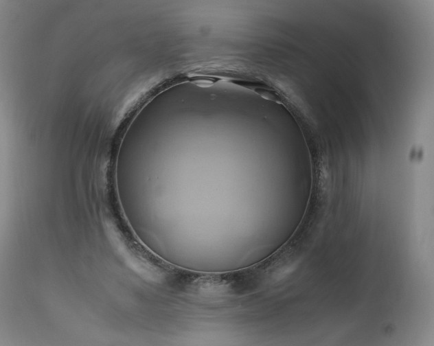 X0000110970491200906191339