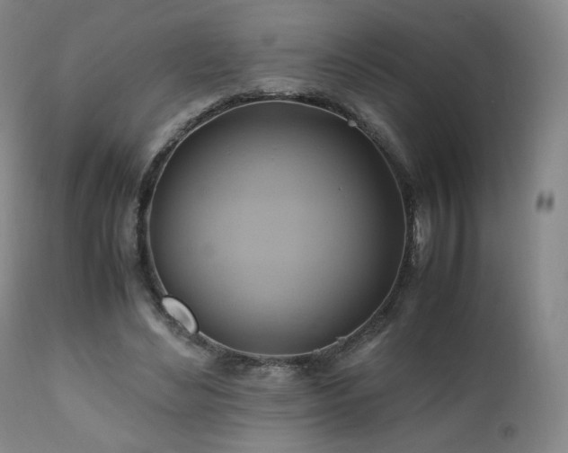 X0000110970492200906191339