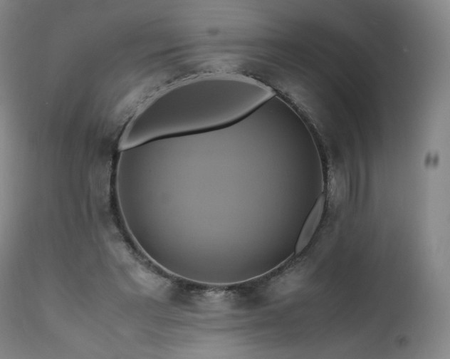 X0000110970493200906191339