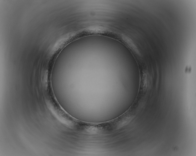 X0000110970494200906191339