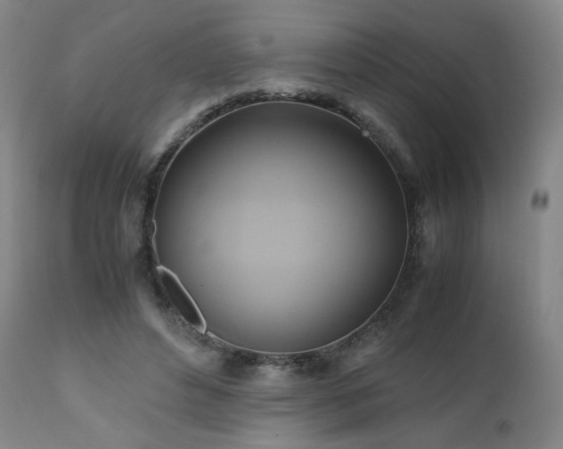 X0000110970496200906191339