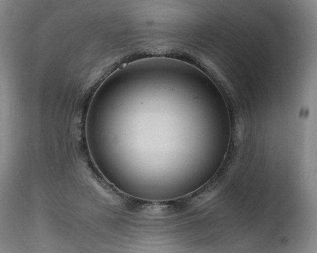 X0000110970497200906191339