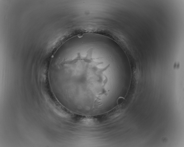 X0000110970499200906191339