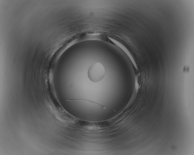 X0000110970500200906191339