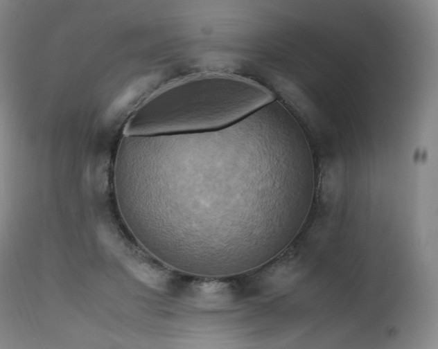 X0000110970501200906191339