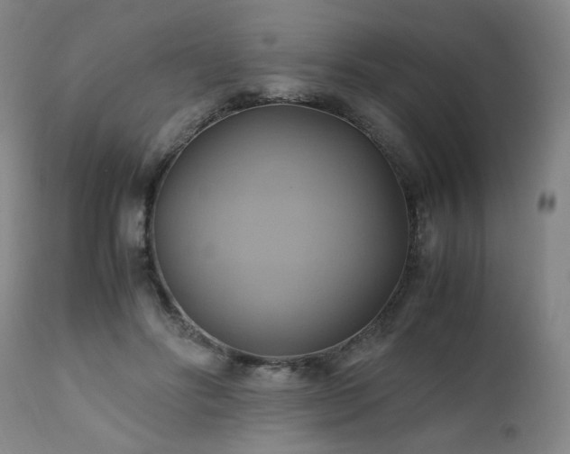 X0000110970502200906191339