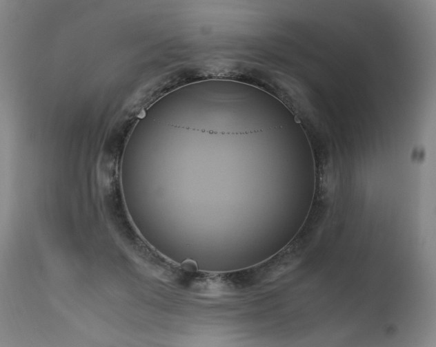 X0000110970503200906191339