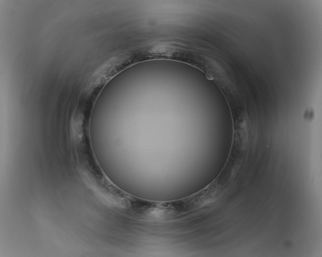 X0000110970504200906191339