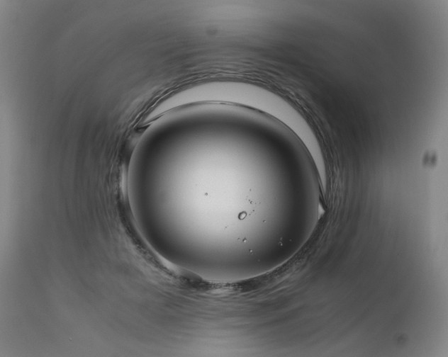 X0000110970505200906191338