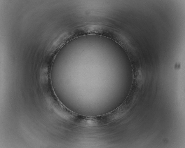 X0000110970506200906191338