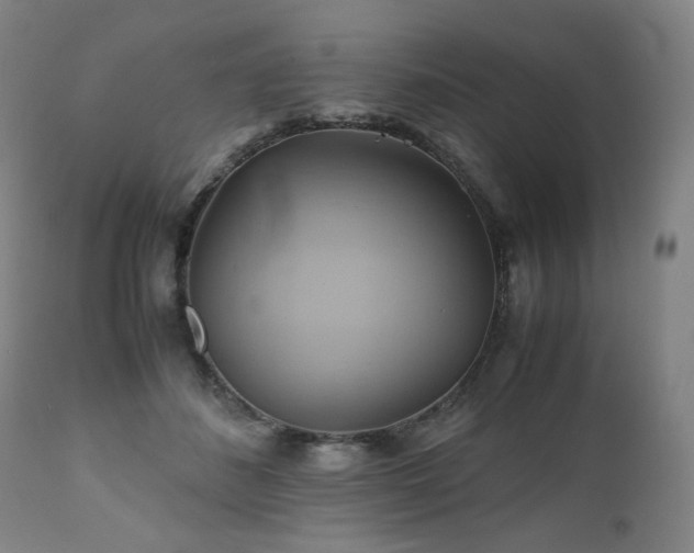 X0000110970508200906191338