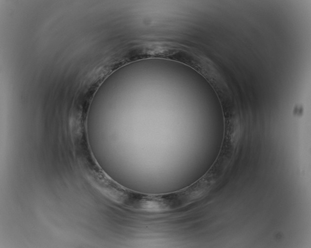 X0000110970510200906191338