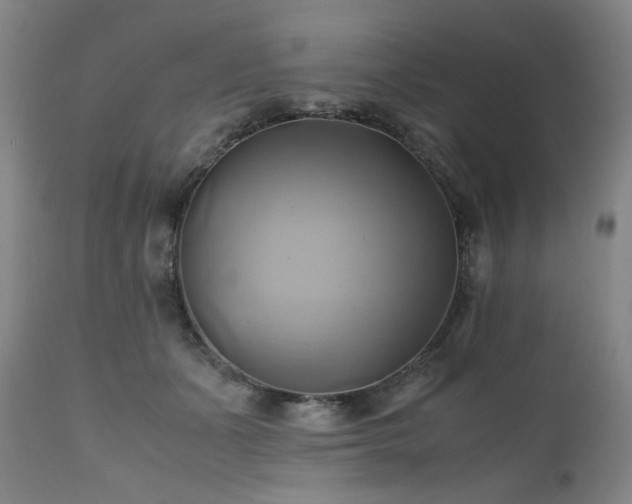 X0000110970511200906191338