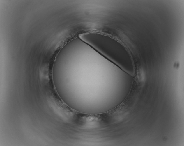 X0000110970512200906191338