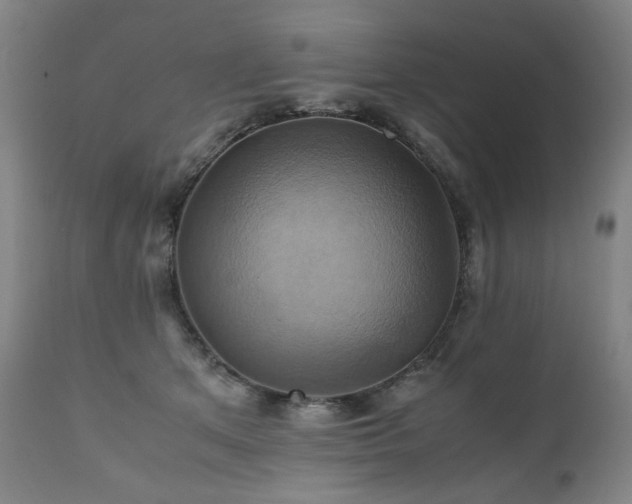 X0000110970513200906191338