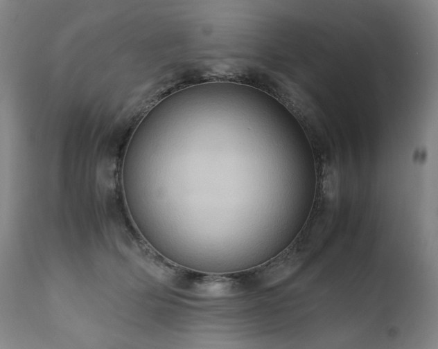 X0000110970514200906191338