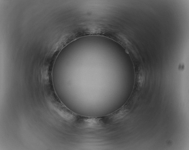 X0000110970516200906191338