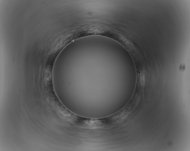 X0000110970517200906191338