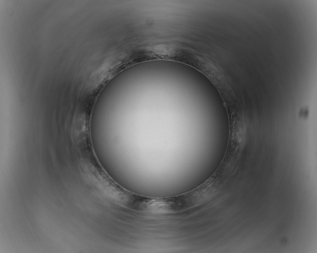 X0000110970518200906191338