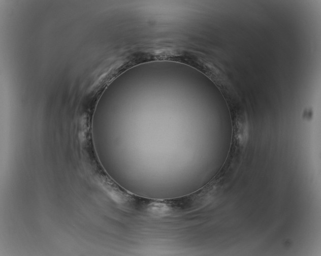 X0000110970519200906191338