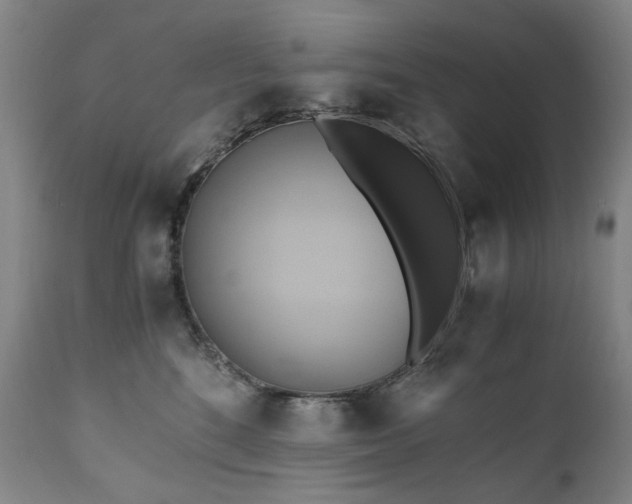 X0000110970520200906191338