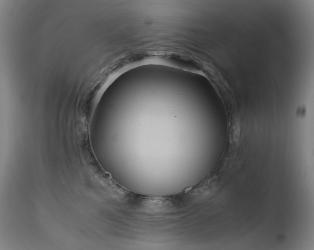 X0000110970521200906191338