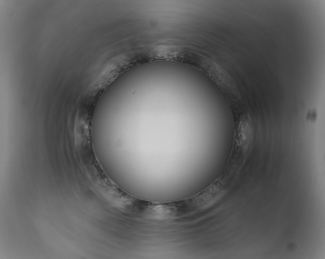 X0000110970522200906191338