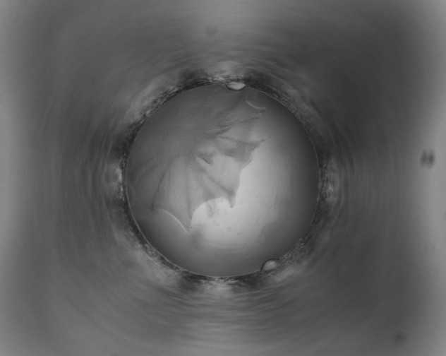 X0000110970523200906191338