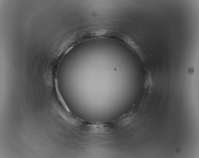 X0000110970524200906191338