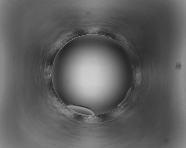 X0000110970525200906191338