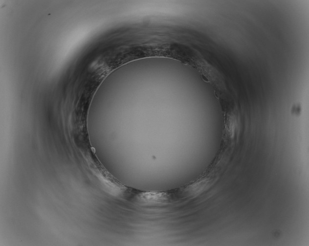 X0000110970526200906191338