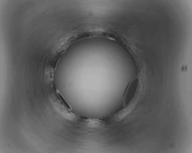 X0000110970528200906191338