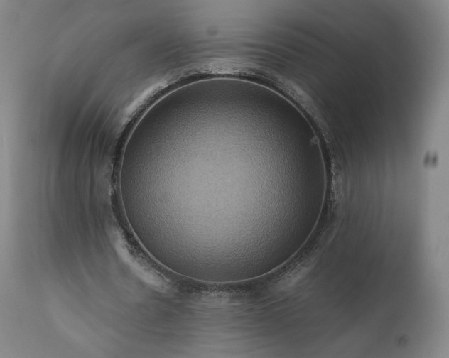 X0000110970530200906191337