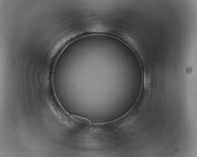 X0000110970531200906191337